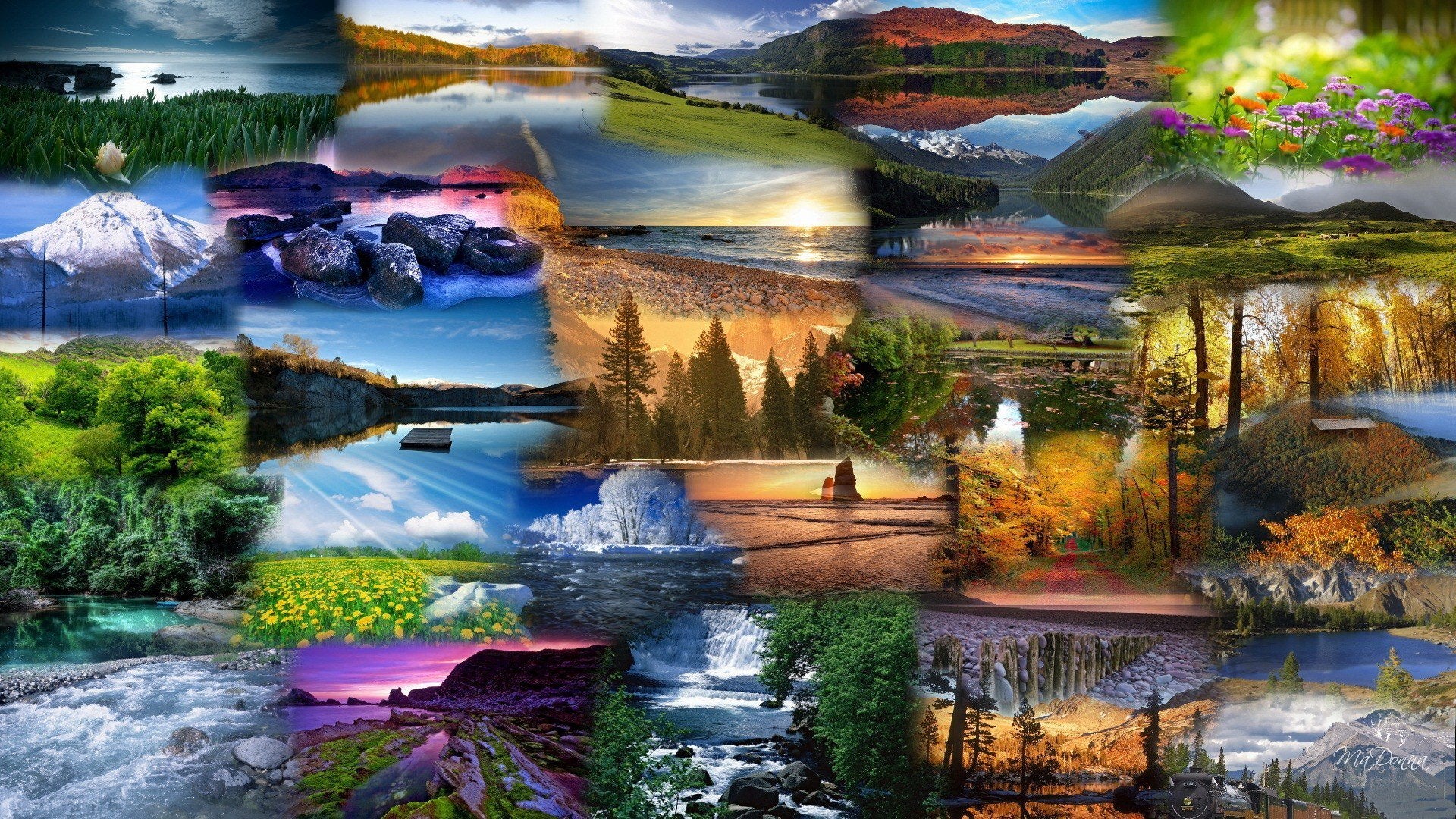 License Free Stock Images (1000 pack)